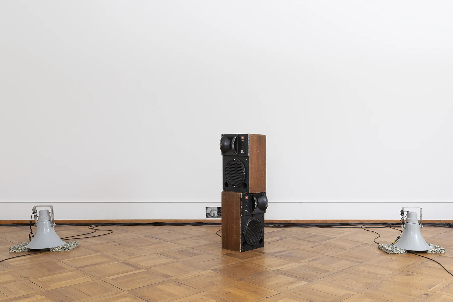 Solo Mute Pan — Olga Kokcharova, Laurent Güdel & Guests — Exhibition view — Credit: Guadalupe Ruiz