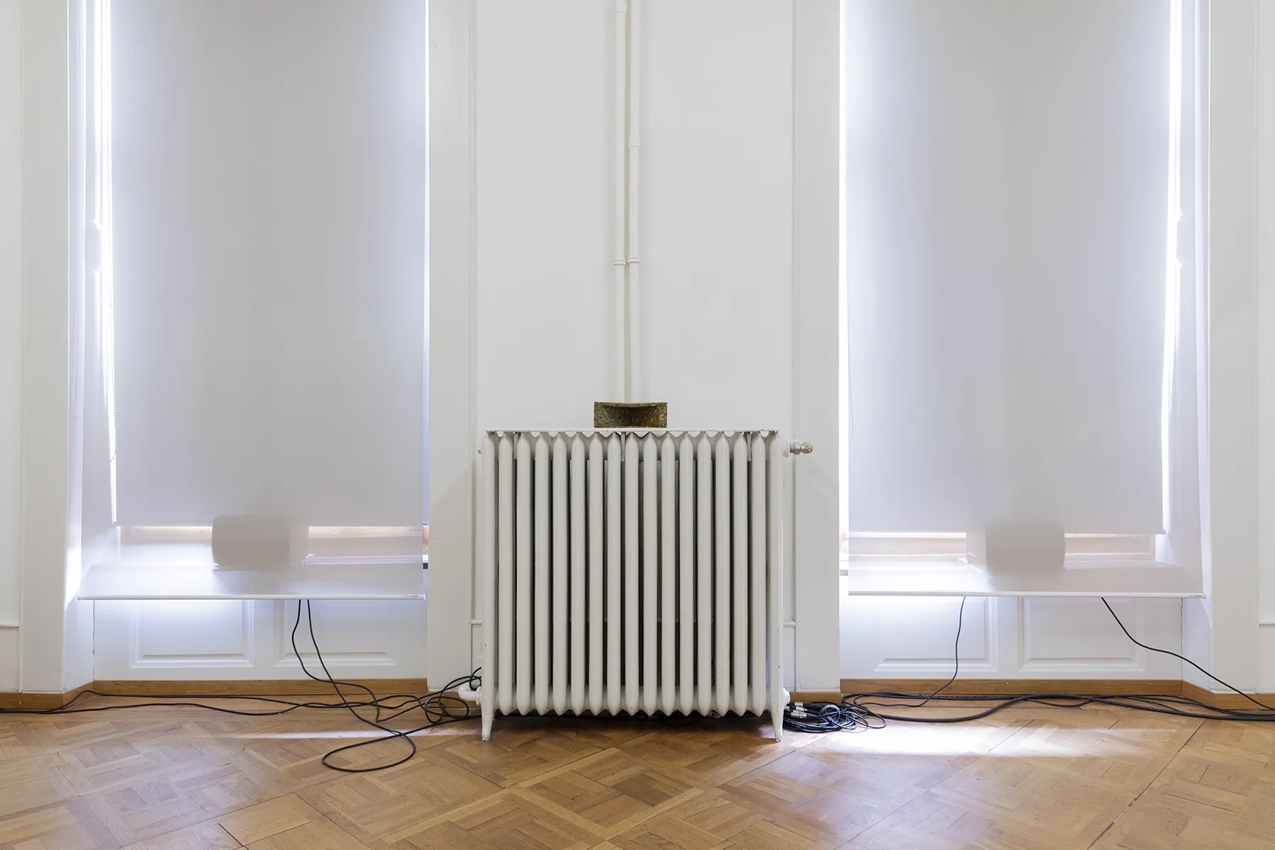 Solo Mute Pan — Olga Kokcharova, Laurent Güdel & Guests — Exhibition view — Credit: Guadalupe Ruiz